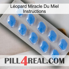 Léopard Miracle Du Miel Instructions 22